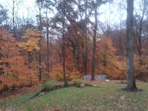 5021 N Brummetts Creek Road Bloomington IN 47408