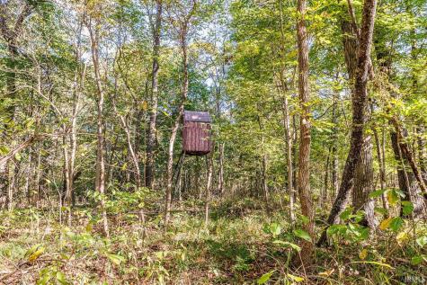 13999 E St Rd 58 Highway Springville IN 47462