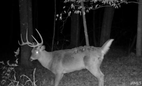 13999 E St Rd 58 Highway Springville IN 47462