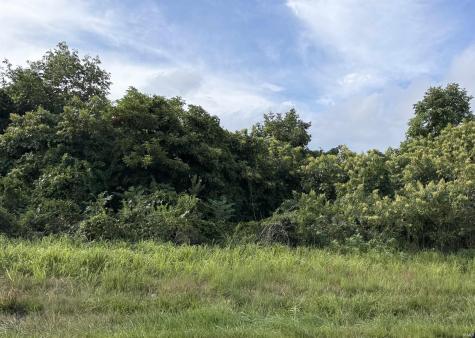 3399 S Bunger Road Bloomington IN 47403