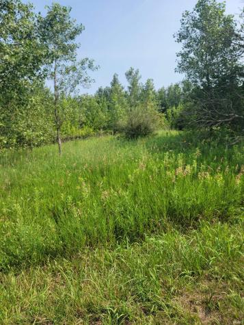 6871 S 1100 W Francesville IN 47946