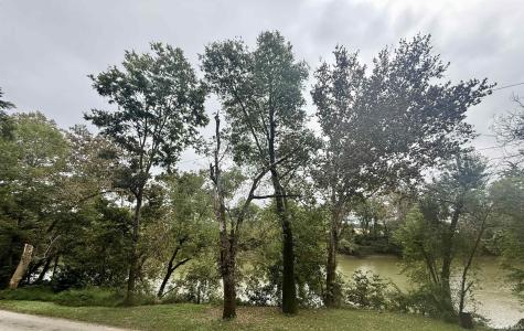 16093 Mcbride Bluff Road Shoals IN 47581