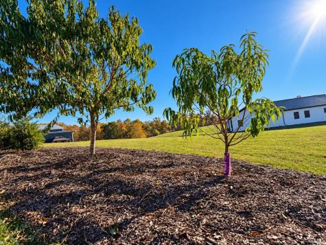 111 Creek Side Drive Heltonville IN 47436