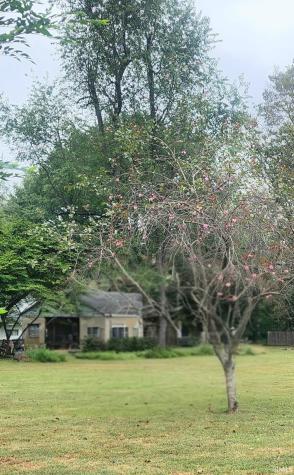 2718 Dimmick Avenue Terre Haute IN 47803