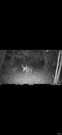 4774 E Cr 225 N Logansport IN 46947