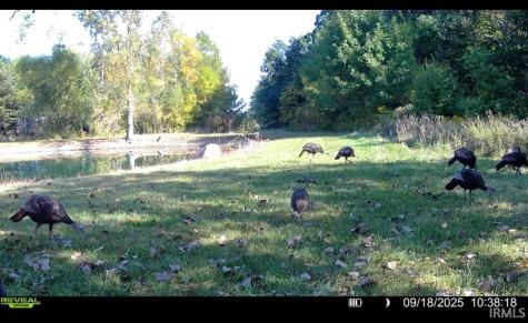 5311 County Road 35 Road Auburn IN 46706