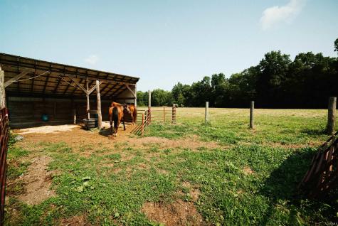 8310 N Low Gap Road Unionville IN 47468