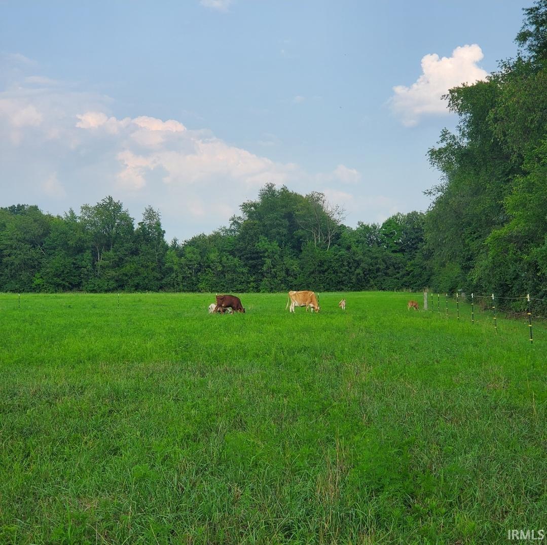 64548 Thorn Road North Liberty IN 46554