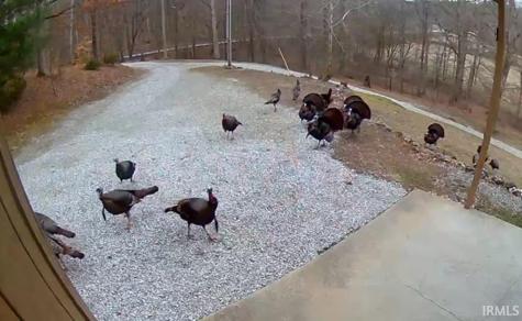 515 E Monroe Dam Road Bloomington IN 47401