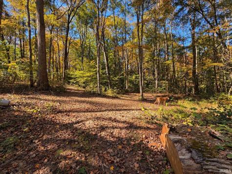 342 The Woods Bedford IN 47421