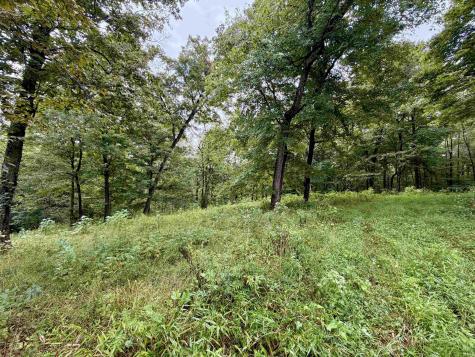 5344 S State Road 145 French Lick IN 47432