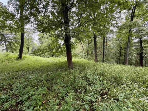 5344 S State Road 145 French Lick IN 47432