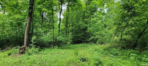 1771 N Peacock Hollow Road Salem IN 47167