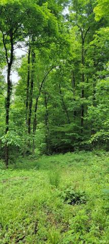 1771 N Peacock Hollow Road Salem IN 47167