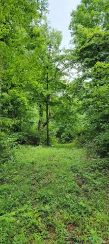 1771 N Peacock Hollow Road Salem IN 47167