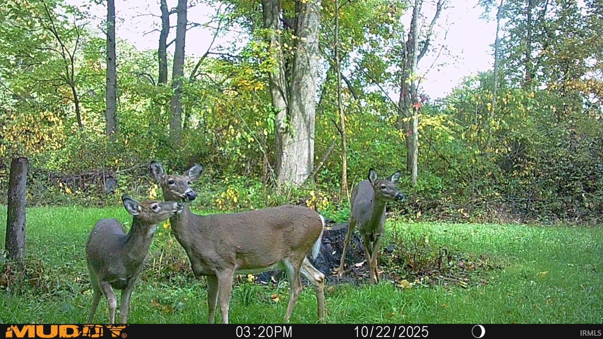 17527 County Road 14 Goshen IN 46528