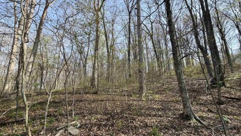 4484 N County Road 910 West Baden Springs IN 47469