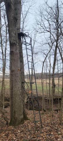 15850 Witt Road Shoals IN 47581