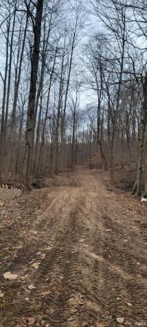 15850 Witt Road Shoals IN 47581