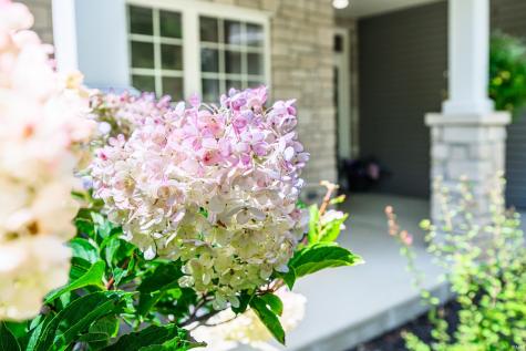 4428 S Sophia Court Bloomington IN 47401