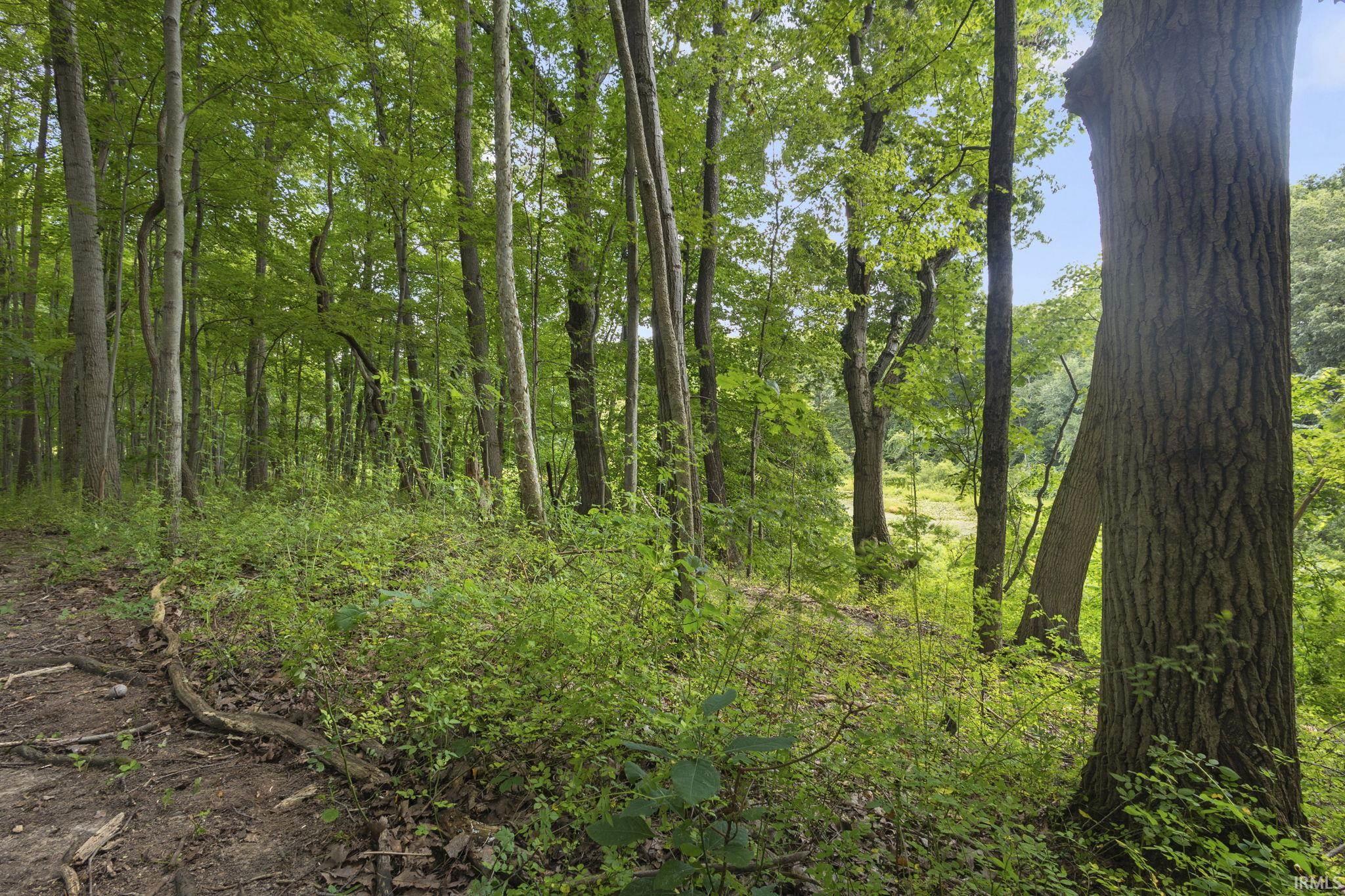 26670 Brush Trail South Bend IN 46628