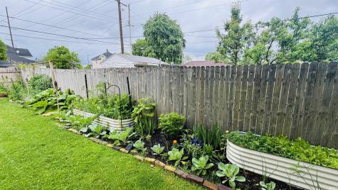 505 S Walnut Street South Bend IN 46619