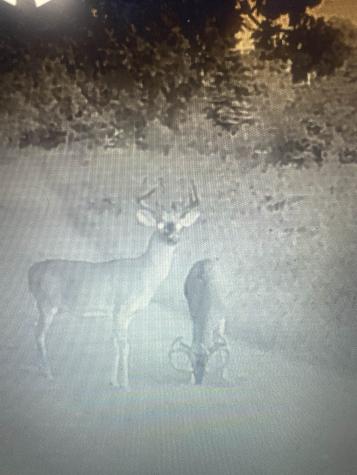 2195 S West Fox Lake Road Angola IN 46703