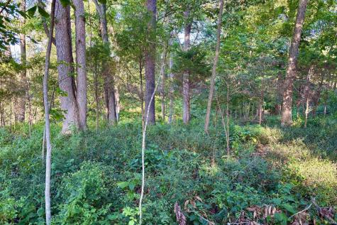 8171 N County Rd 75 W Road Orleans IN 47452