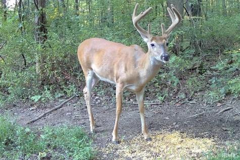 8171 N County Rd 75 W Road Orleans IN 47452