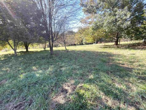 3333 Patricksburg Road Spencer IN 47460