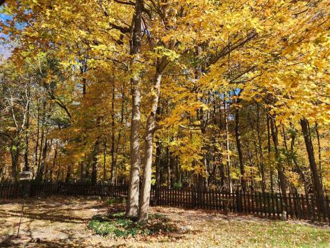 11034 Summer Chase Road Fort Wayne IN 46818
