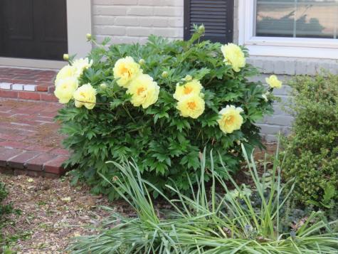 409 Park Plaza Drive Evansville IN 47715