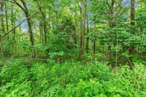 11603 E Blue Jay Court Springville IN 47462