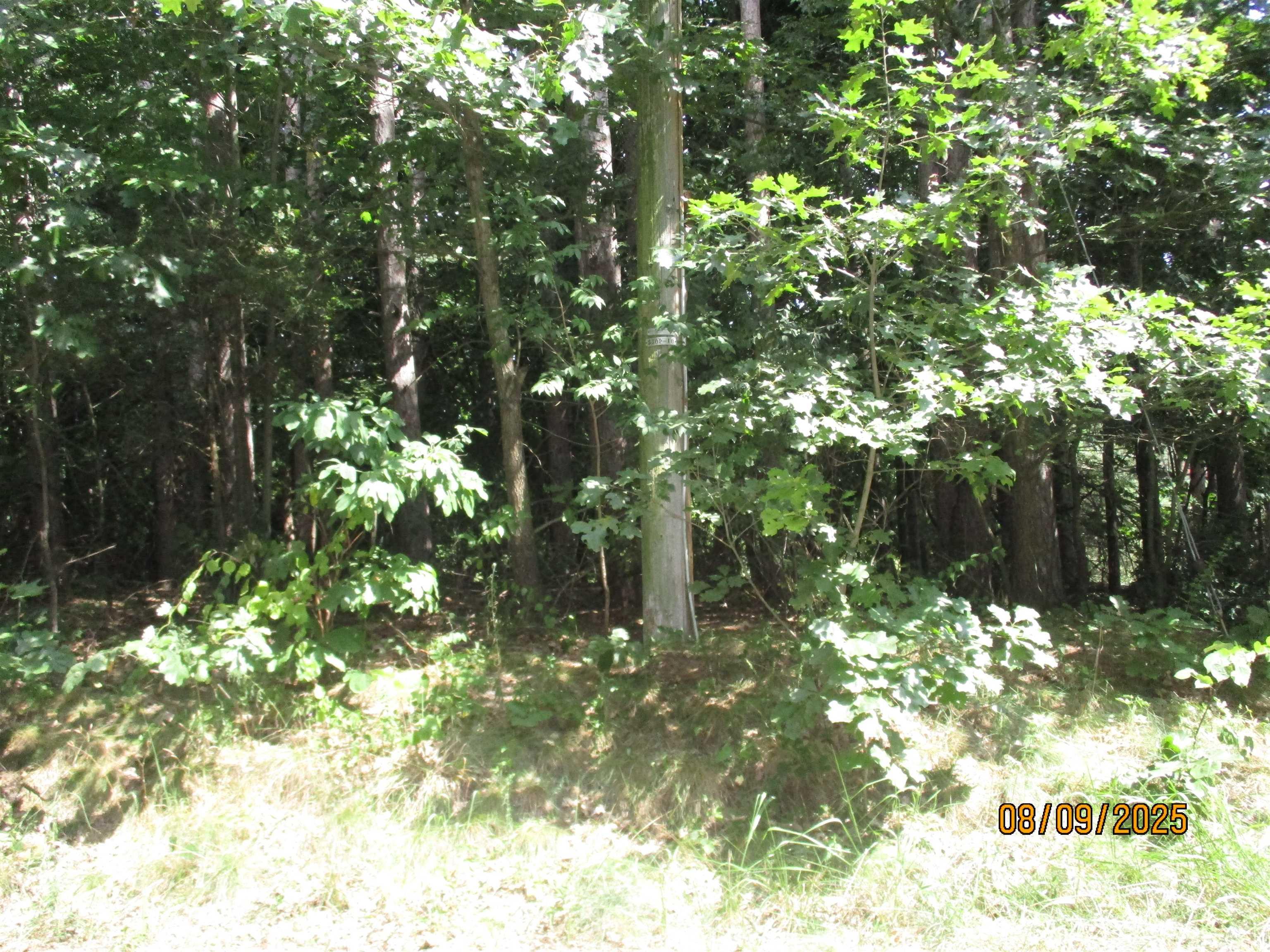 51772 Currant Road Granger IN 46530