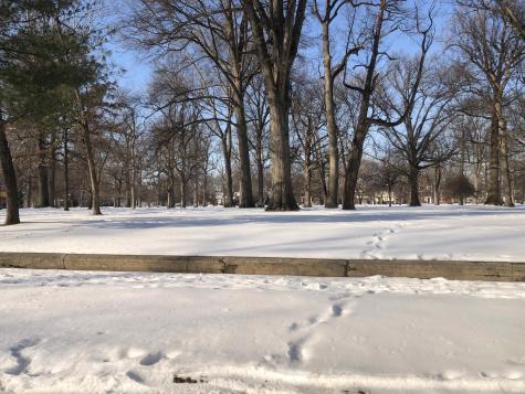959 S Grand Avenue Evansville IN 47713
