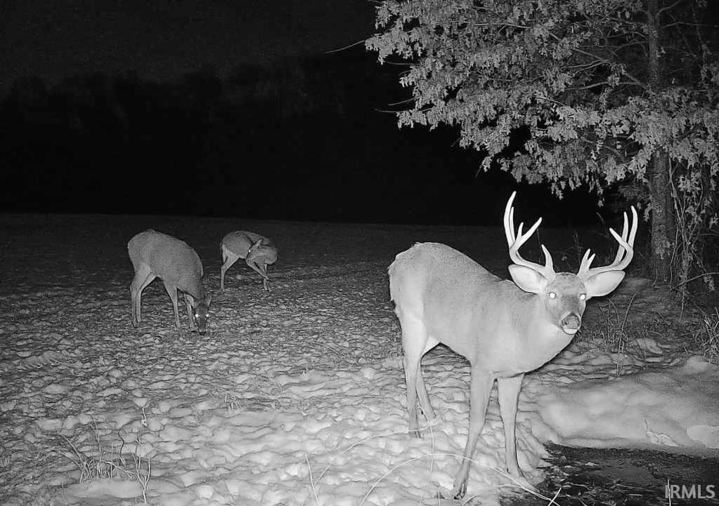52478 County Road 39 Middlebury IN 46540