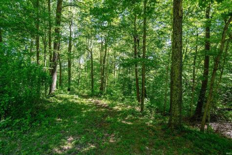1056 W Burma Road Bloomington IN 47404