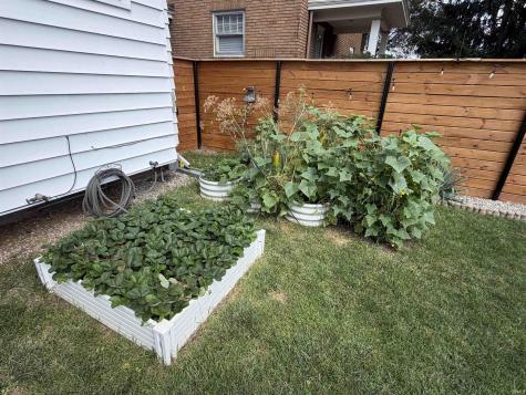 1607 Cherokee Road Fort Wayne IN 46808