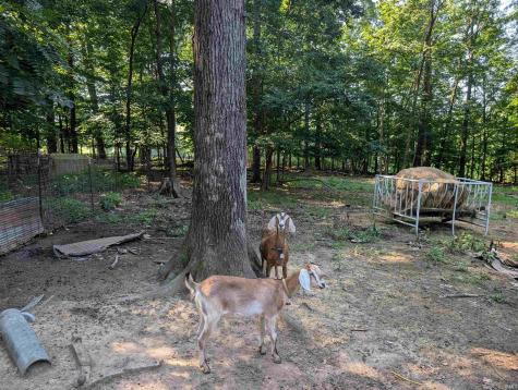 6774 Asbell Road Shoals IN 47581