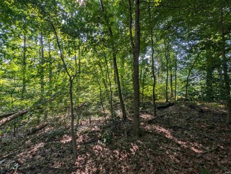 6774 Asbell Road Shoals IN 47581