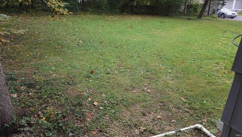 212 S Roosevelt Street Bloomington IN 47408