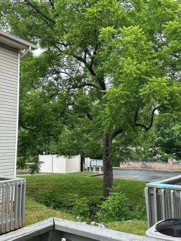 648 E Sherwood Hills Drive Bloomington IN 47404