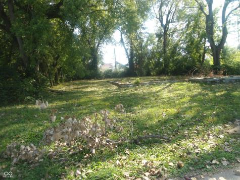 3115 Madison Avenue Indianapolis IN 46227