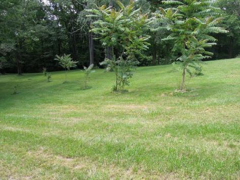 1604 State Road 252 Martinsville IN 46151