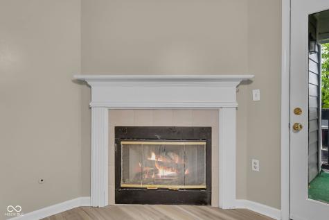 209 Faulkner Court Carmel IN 46032