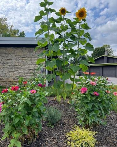 5201 Nob Lane Indianapolis IN 46226