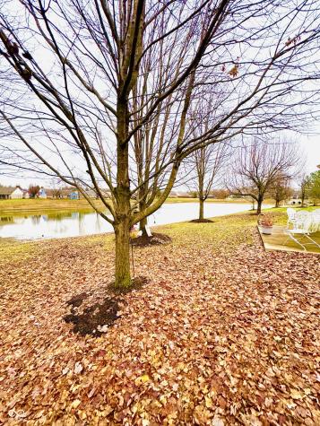 1146 Nanwich Court Indianapolis IN 46217