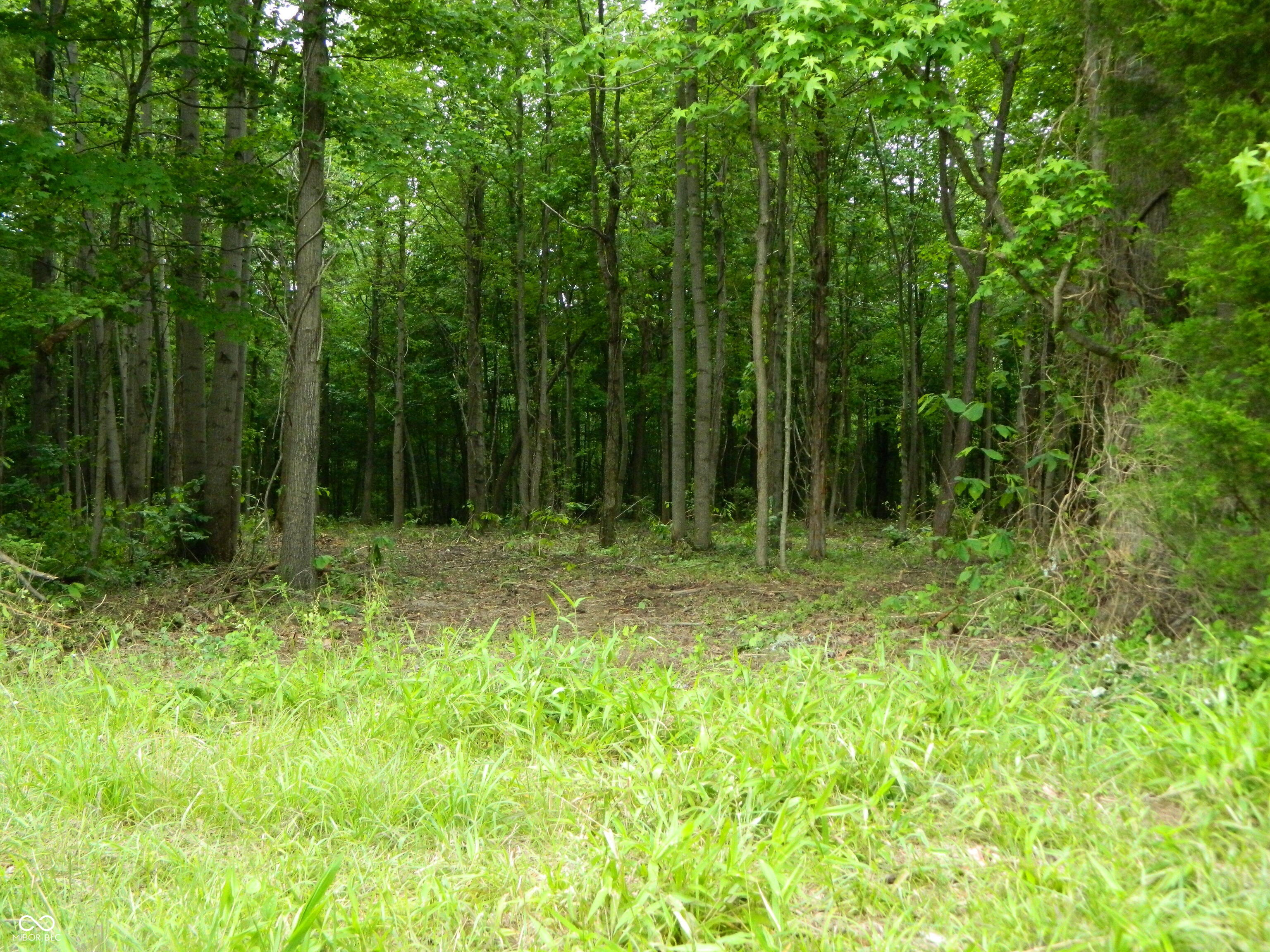 0 E County Road 700 N Seymour IN 47274