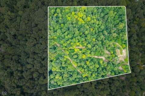 0 Goat Hollow Estates Lot 1 Martinsville IN 46151