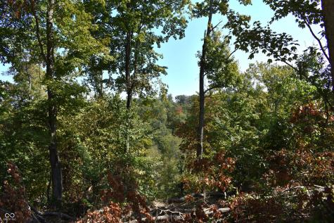 0 Goat Hollow Estates Lot 1 Martinsville IN 46151